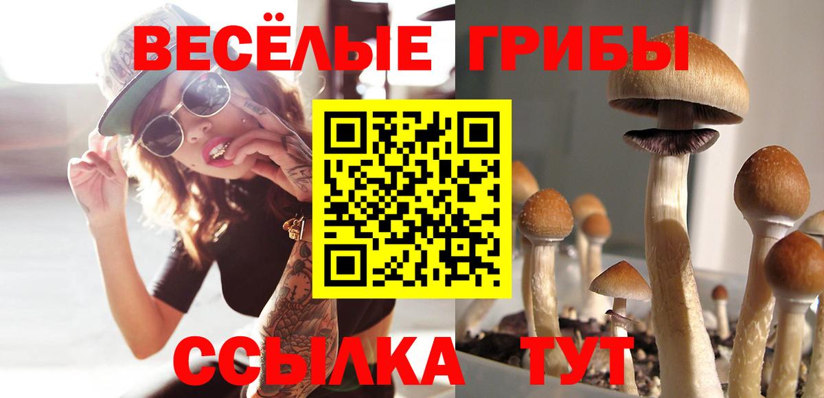 Еманжелинск  закладка  Вход с VPN  Псилоцибиновые грибы прущие грибы 